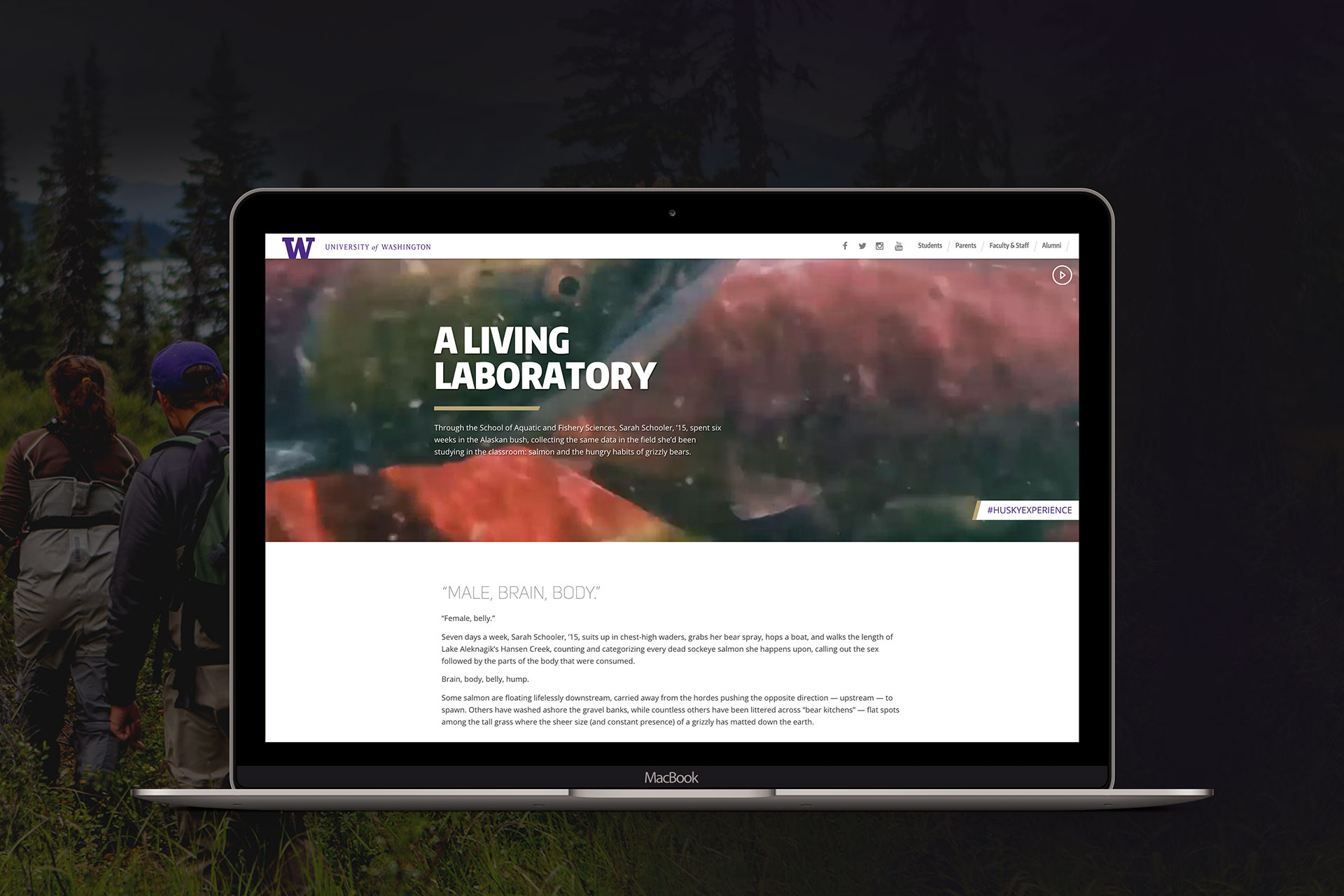 alaska salmon project mockup with mac computer.