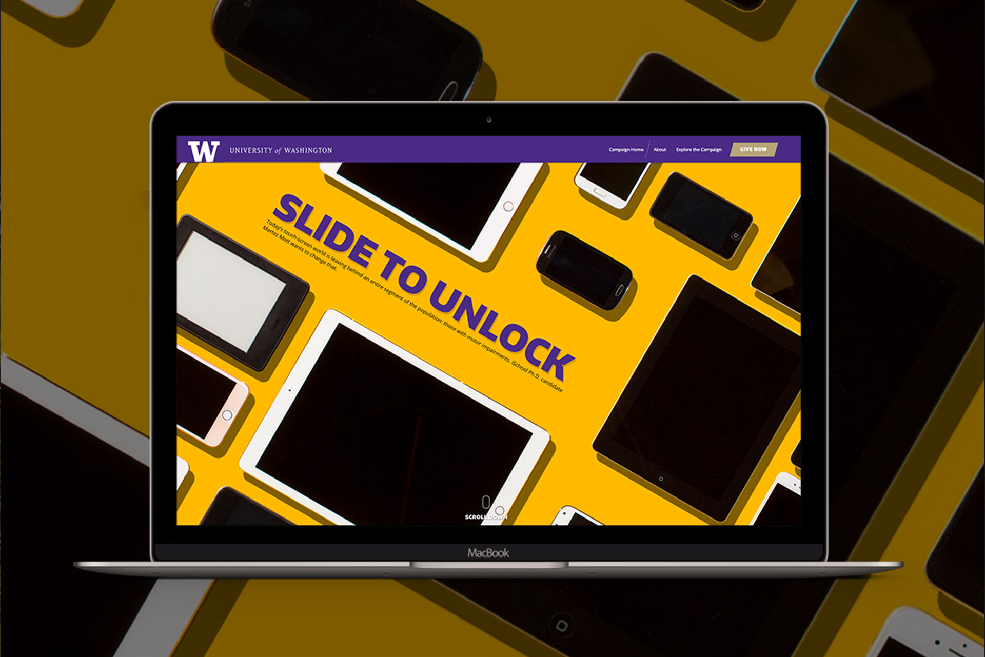 alaska salmon project mockup with mac computer.