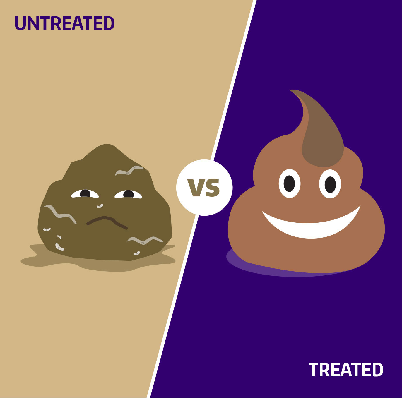 university of washington tacoma immersive website